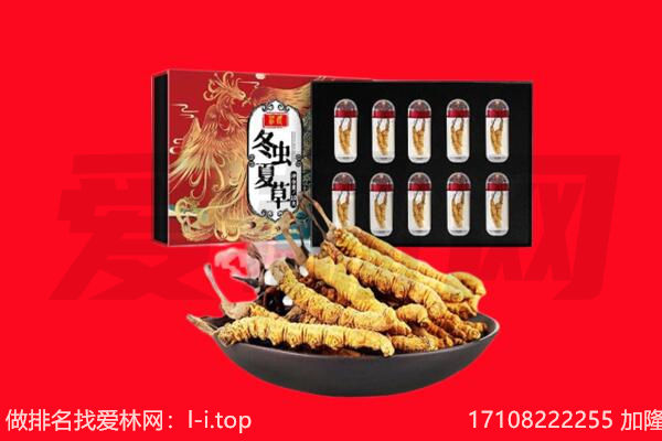 昆明禄劝县回收虫草.jpg